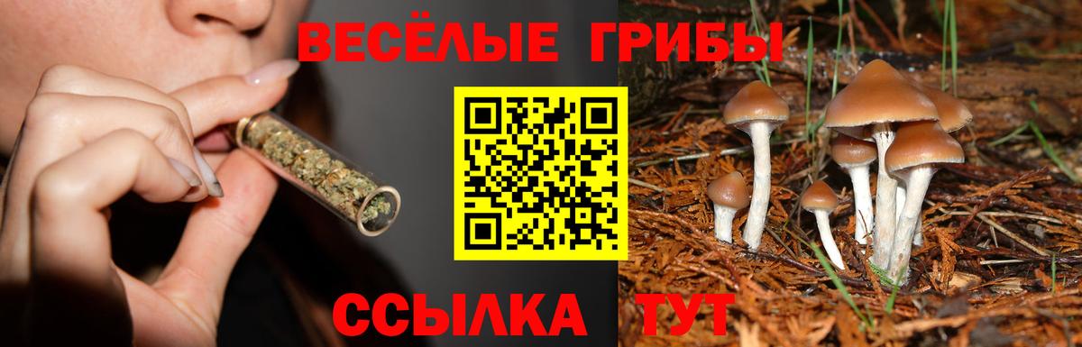 Галлюциногенные грибы ЛСД  Вход с VPN  Подольск 